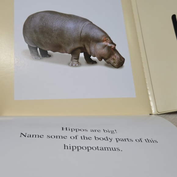 Your Baby Can Read Early Language Development word card set + book 1 - Picture 13 of 15